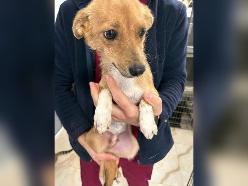 CINDY musste sich ohne Hilfe durchschlagen