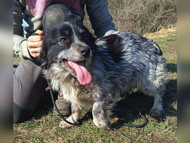 FLIPPERKA braucht ein liebevolles Zuhause