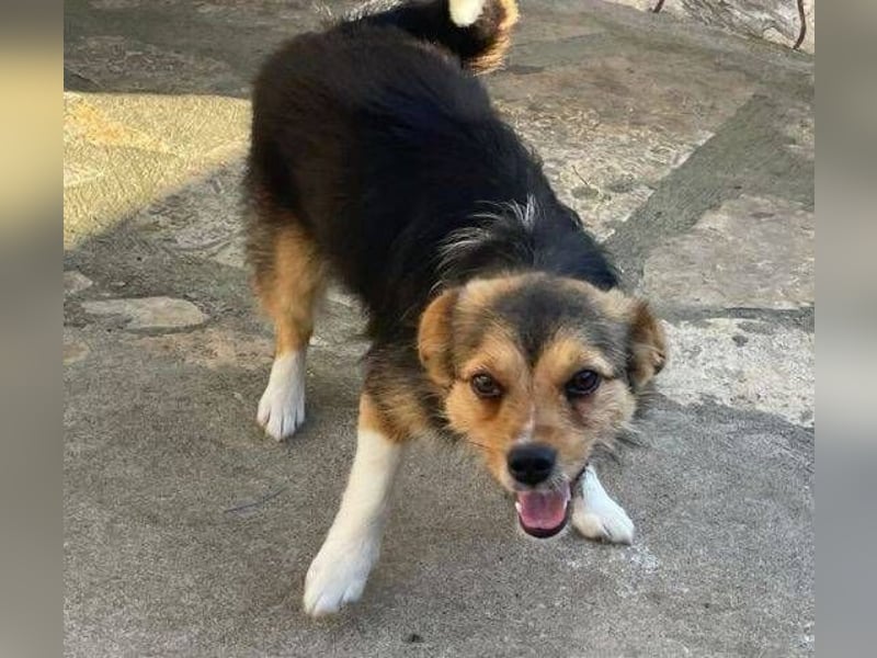 KLARA -wer ist ihr Retter in der Not?
