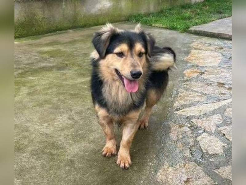 JEREMIAH wurde herzlos ausgesetzt