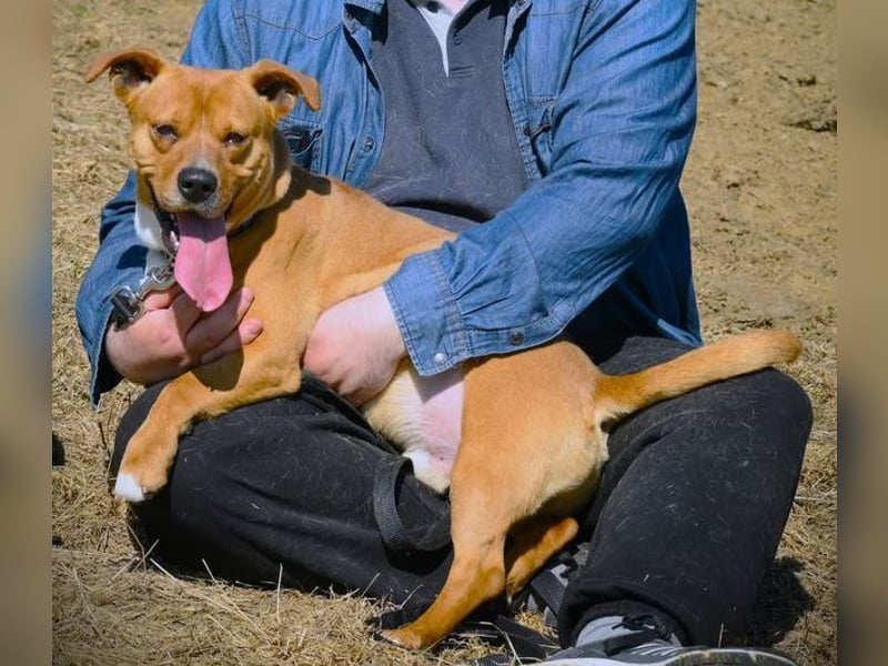 WINSTON ist ein herziger Kerl