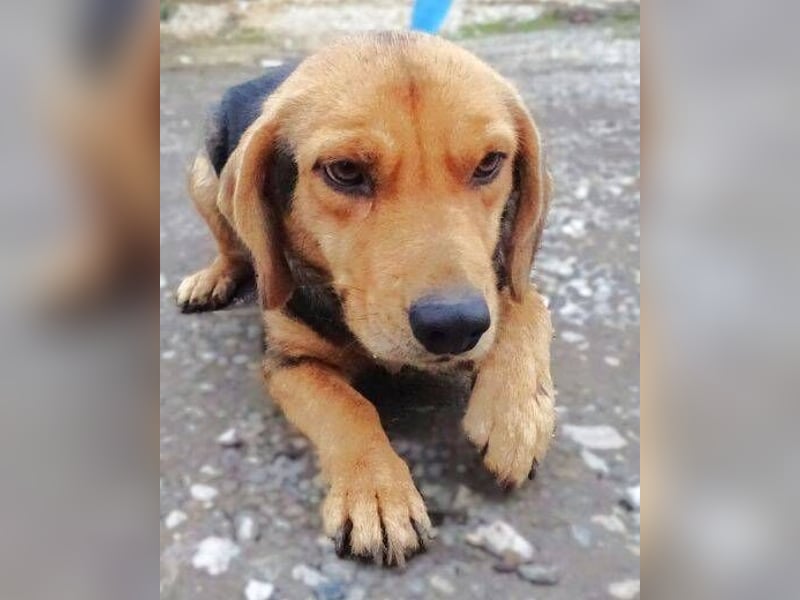 NICKY ist eine absolute Bereicherung