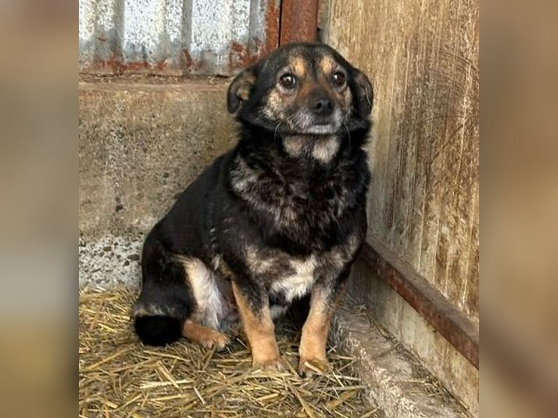 BERTHA ihr Leben soll sich zum Guten wenden