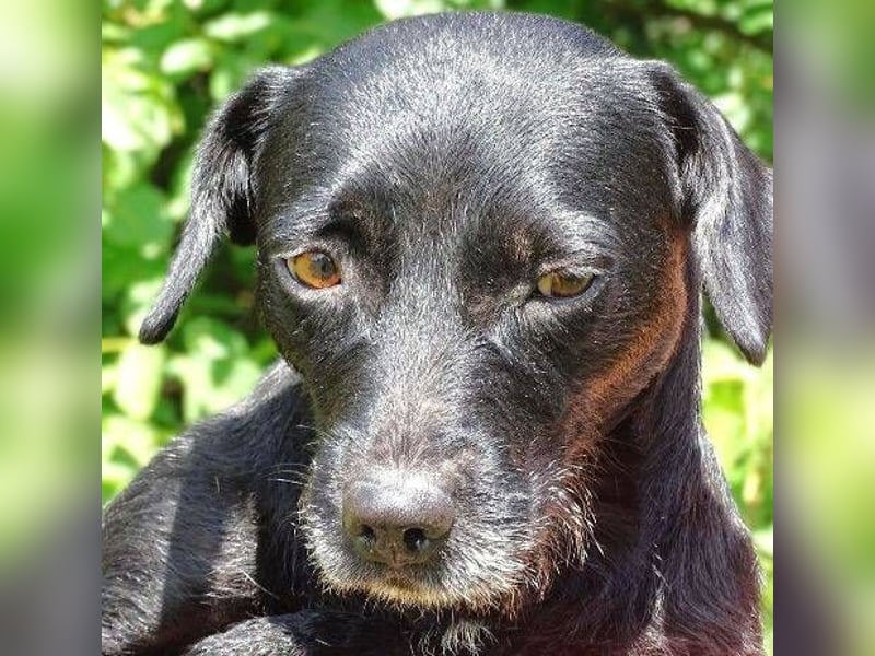 MONA ist ein Goldschatz