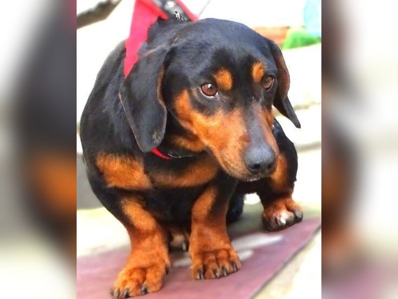 JACK braucht Lebensretter