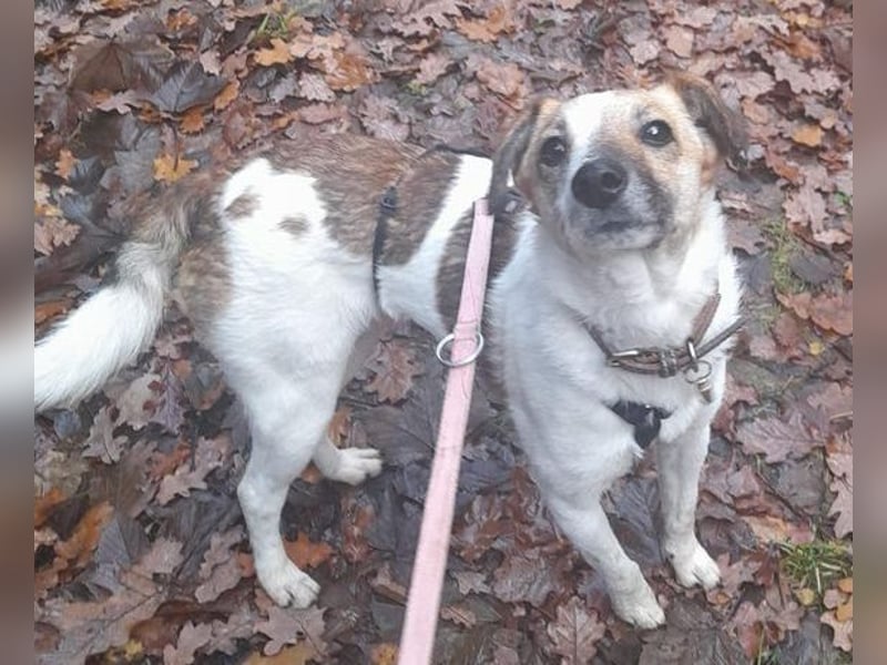 MIRKA liebt streicheln