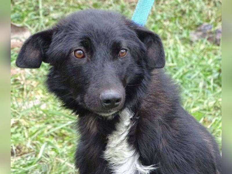 ENA wurde schwer verletzt liegen gelassen