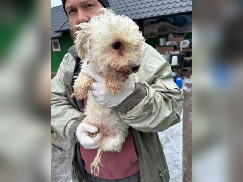 SNOW wurde herzlos entsorgt