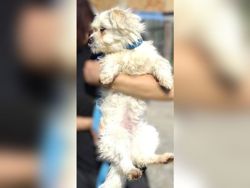 MIMMI die kleine hat große Angst