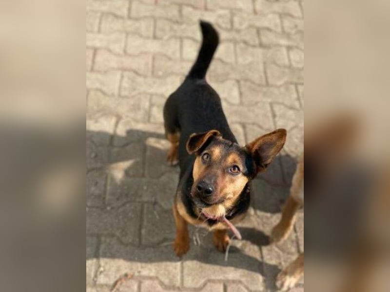 EMILY hatte ein entbehrungsreiches Leben