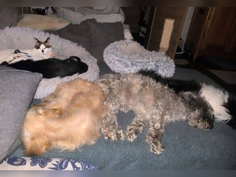 FRIDA - ihr sehnlichster Wunsch ist eine Familie