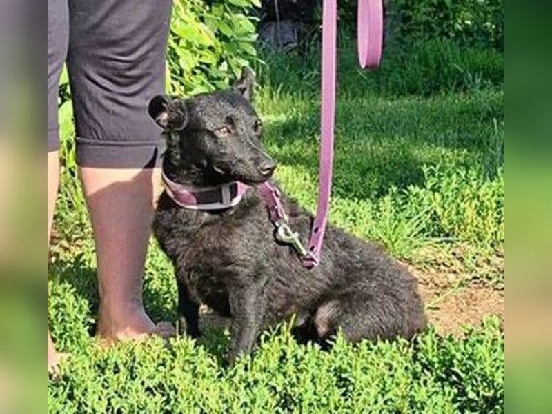 KALA