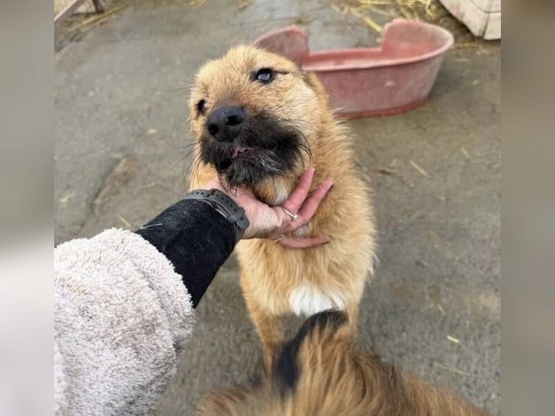 BILBO ist ❤️ allerliebst