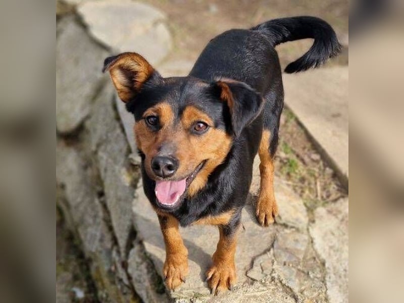 FLOCKY ist der Liebling aller