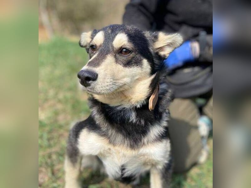 KEVIN wäre gerne dein Freund