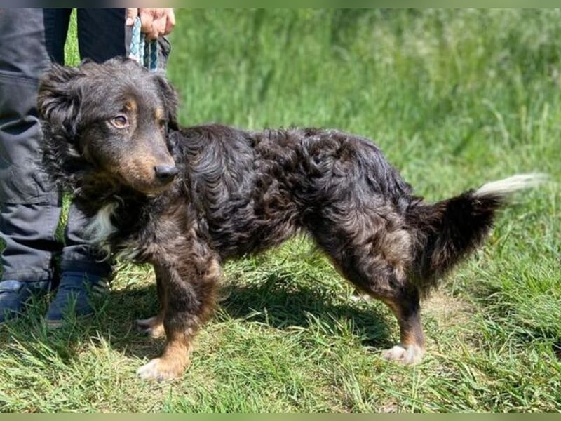 RONY ist ein süßer kleiner Schatz