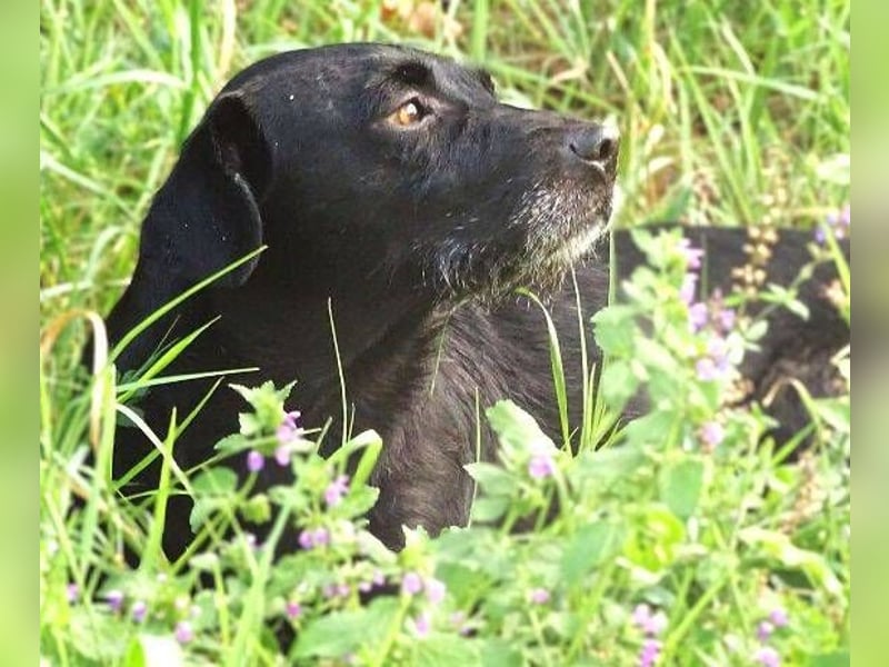 MONA ist ein Goldschatz