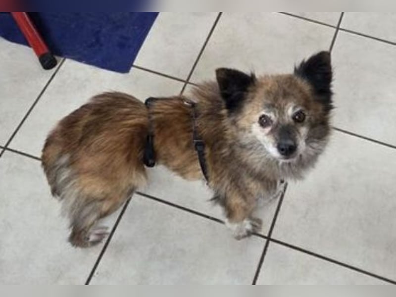 JULE  sucht ihre Familie