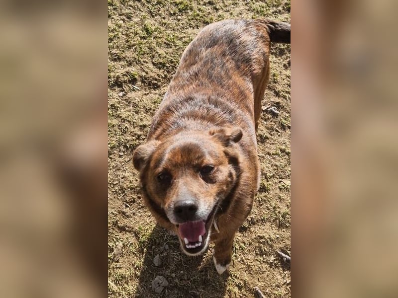 HOLLY ist zuckersüß und lieb