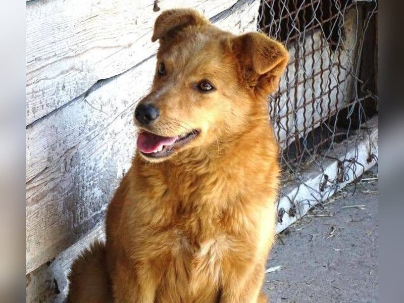 MEGGY ist zuckersüß