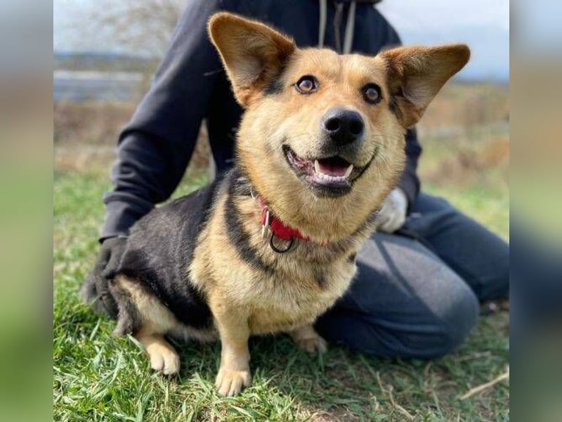NESSY hofft so sehr auf einen Neuanfang