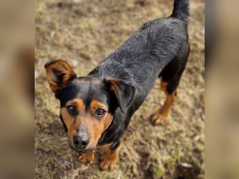 FLOCKY ist der Liebling aller