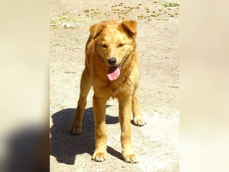 MEGGY ist zuckersüß