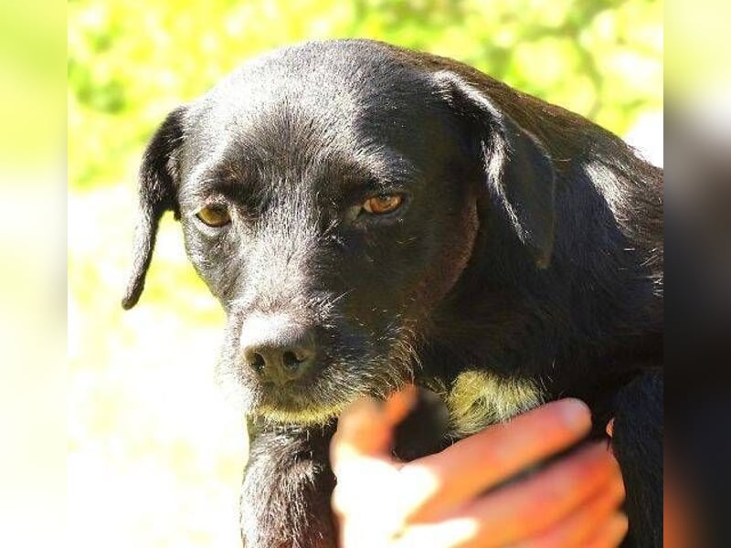 MONA ist ein Goldschatz