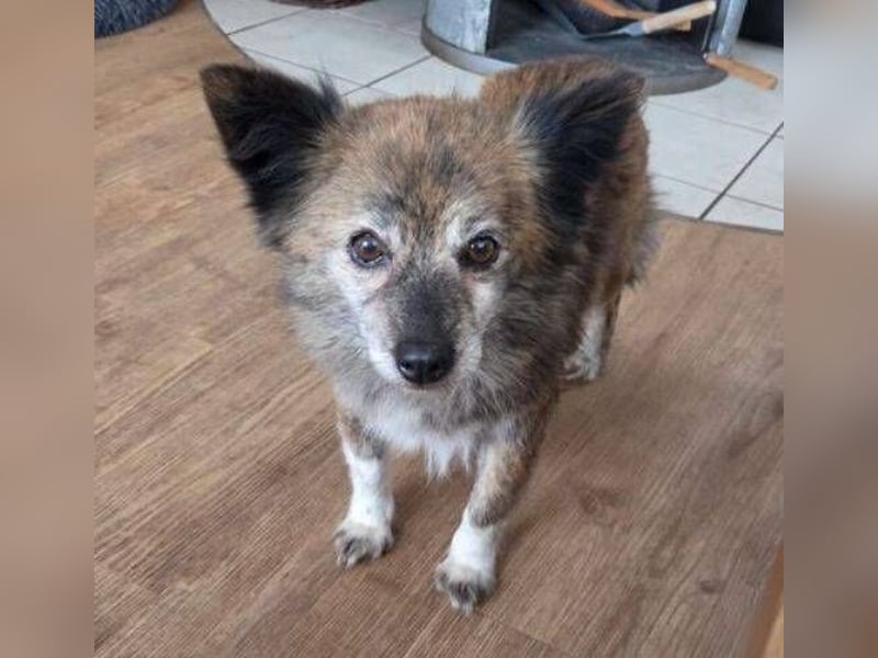 JULE  sucht ihre Familie