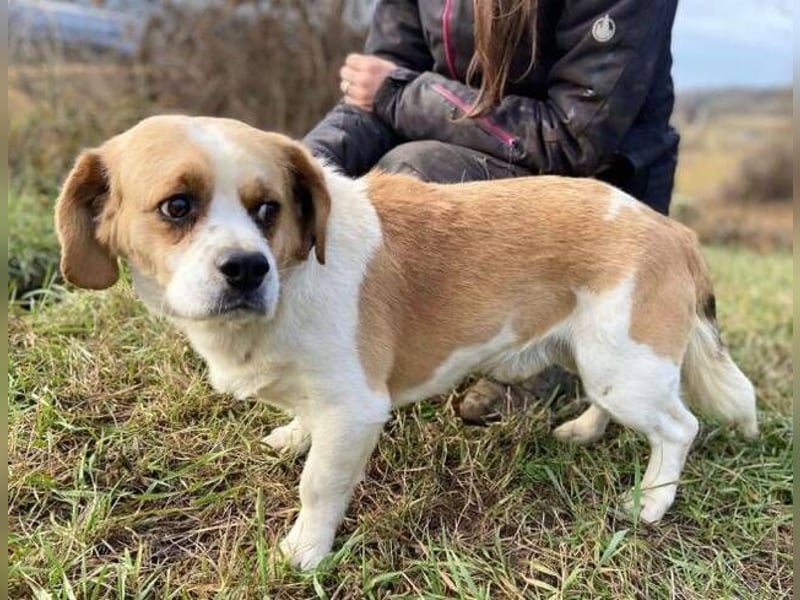 BODRI ist eine ganz sanfte Seele