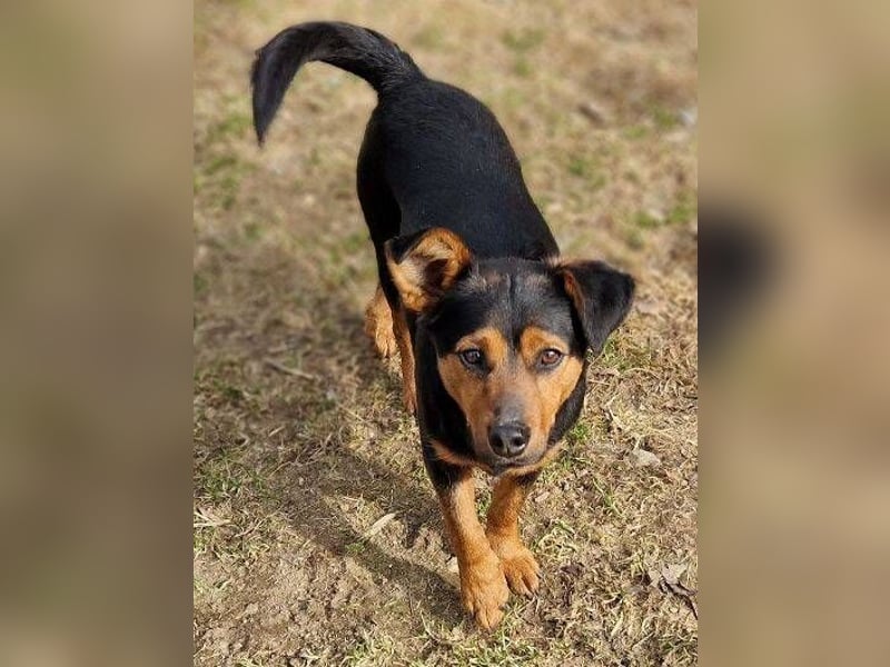 FLOCKY ist der Liebling aller