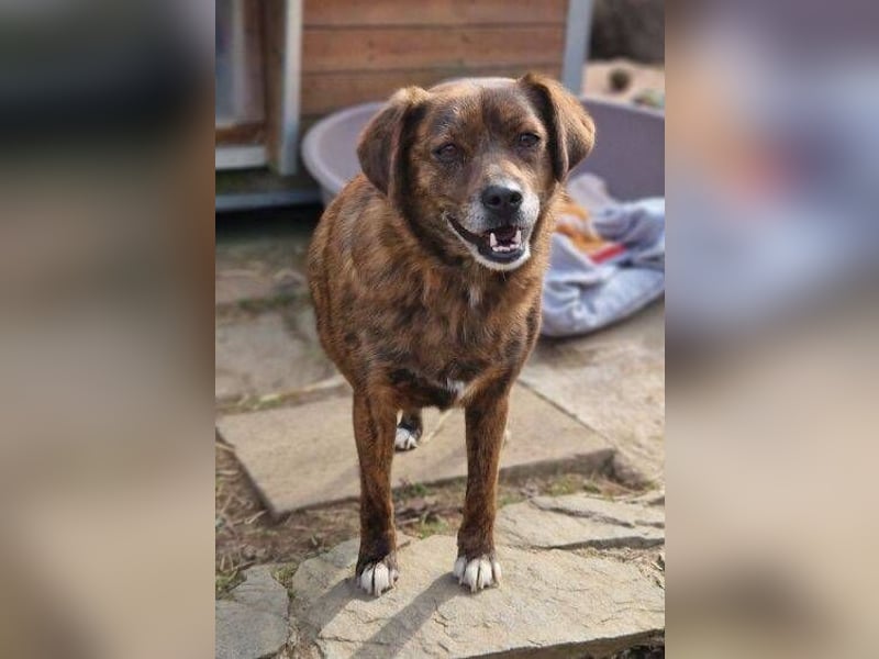 HOLLY ist zuckersüß und lieb