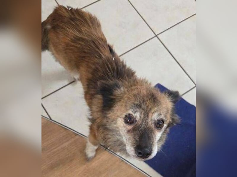 JULE  sucht ihre Familie