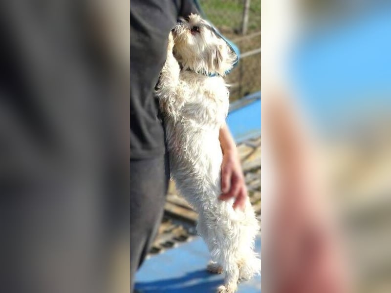 MIMMI die kleine hat große Angst