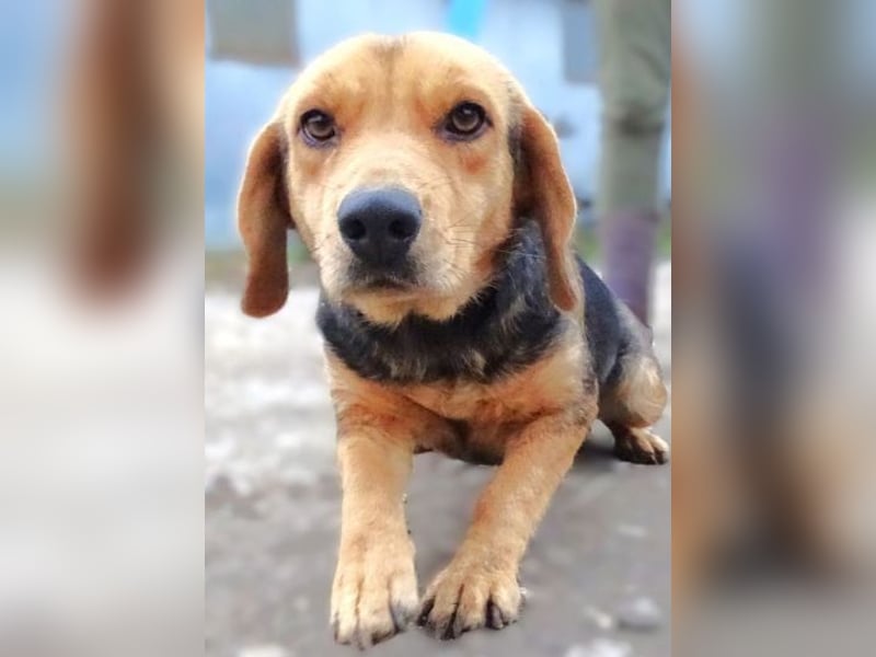 NICKY ist eine absolute Bereicherung