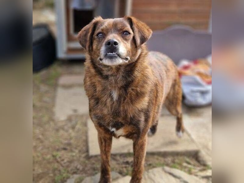 HOLLY ist zuckersüß und lieb