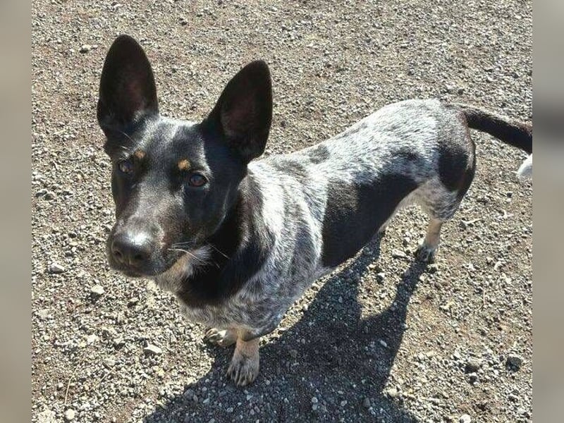 MIA ist eine Frohnatur