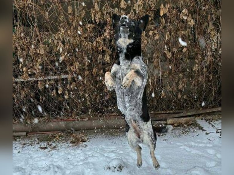 MIA ist eine Frohnatur