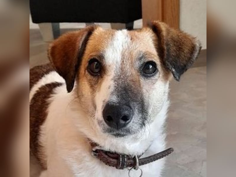 MIRKA liebt streicheln