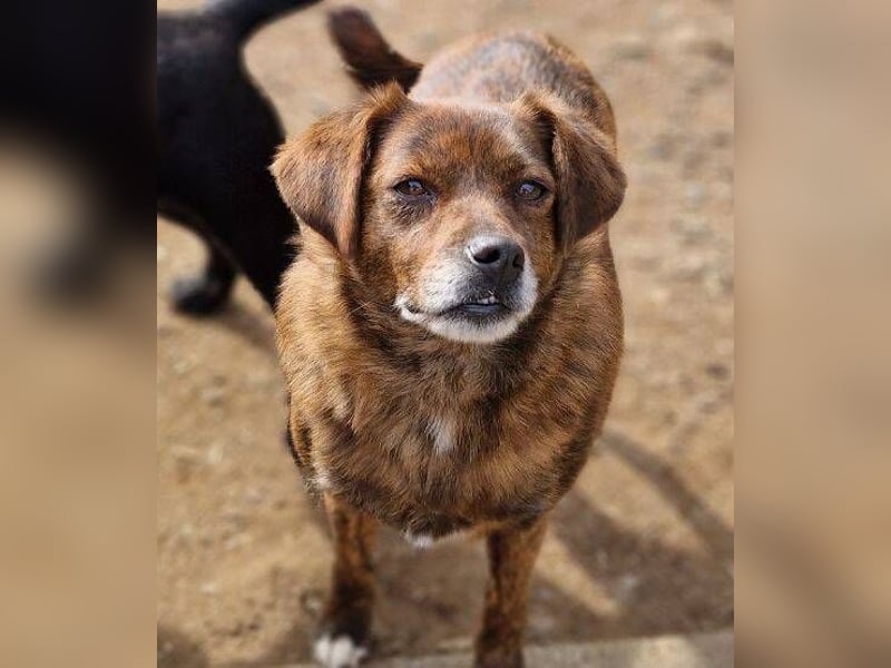 HOLLY ist zuckersüß und lieb