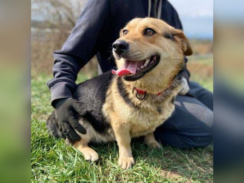 NESSY hofft so sehr auf einen Neuanfang