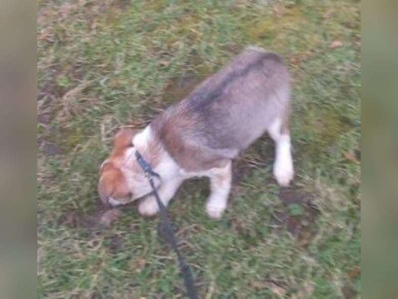 HUGO wurde allein zurück gelassen
