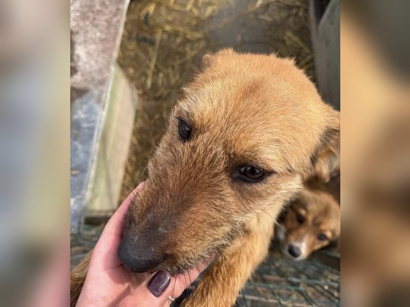 BILBO ist ❤️ allerliebst