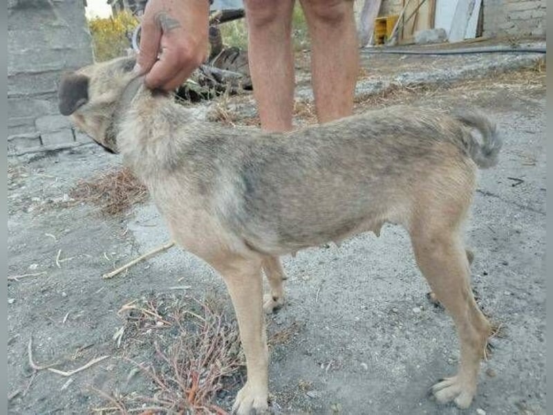 LUNA, das liebe Mädel schwebt in großer Gefahr