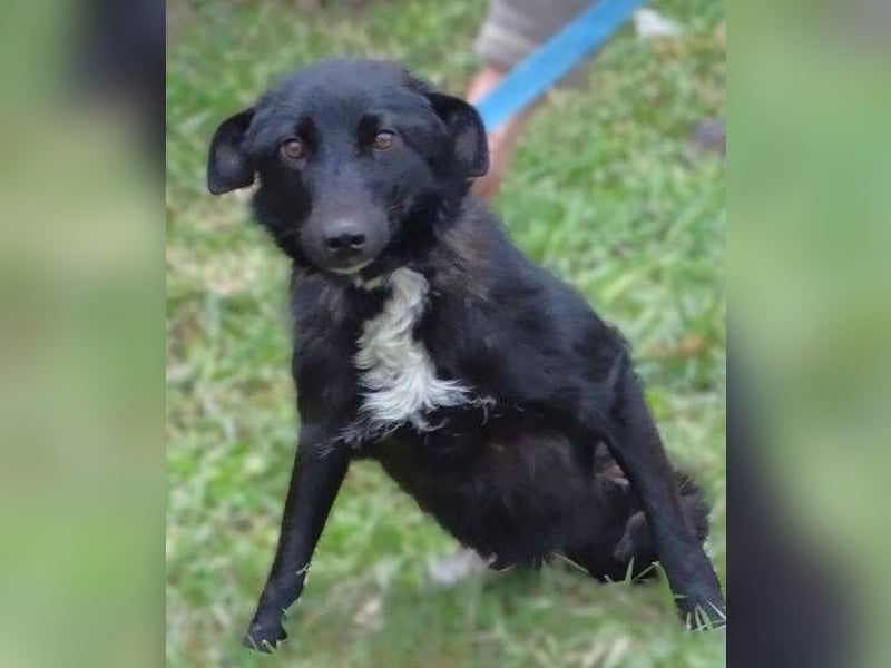 ENA wurde schwer verletzt liegen gelassen