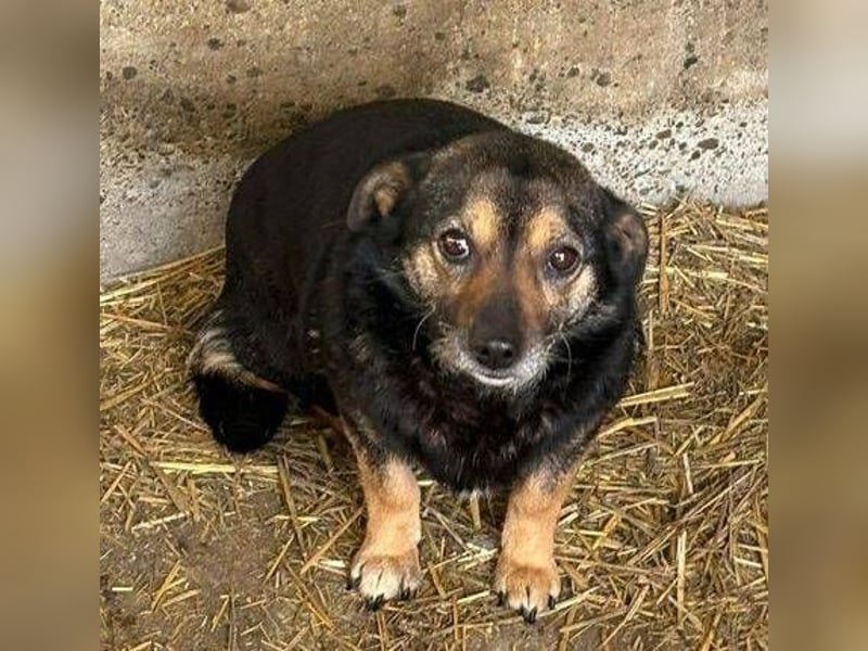 BERTHA ihr Leben soll sich zum Guten wenden