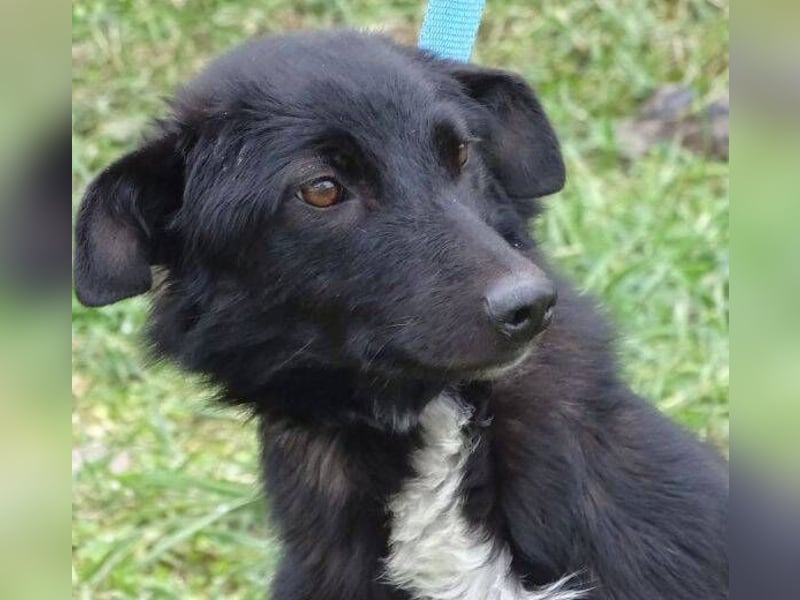 ENA wurde schwer verletzt liegen gelassen