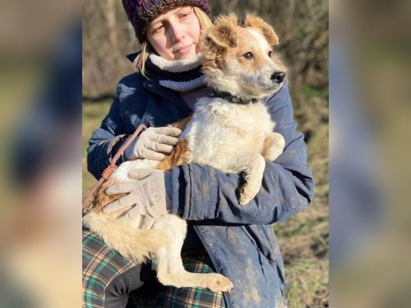 ALEXA sucht nach Liebe 