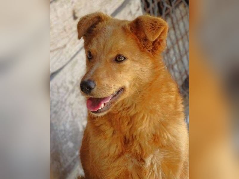 MEGGY ist zuckersüß