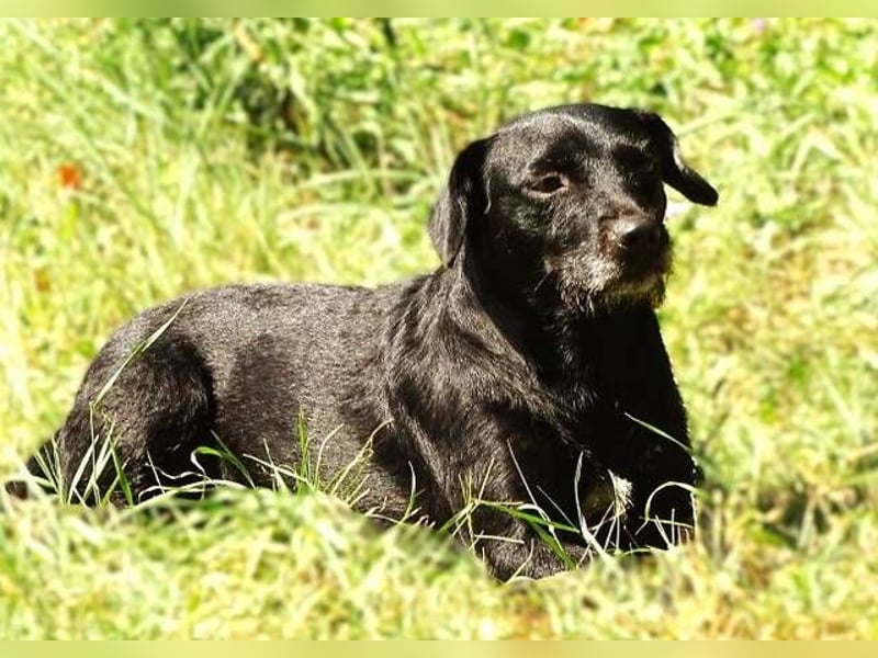 MONA ist ein Goldschatz